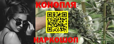 spice Гатчина