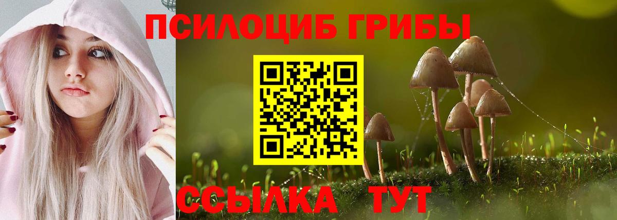 Галлюциногенные грибы ЛСД Можга