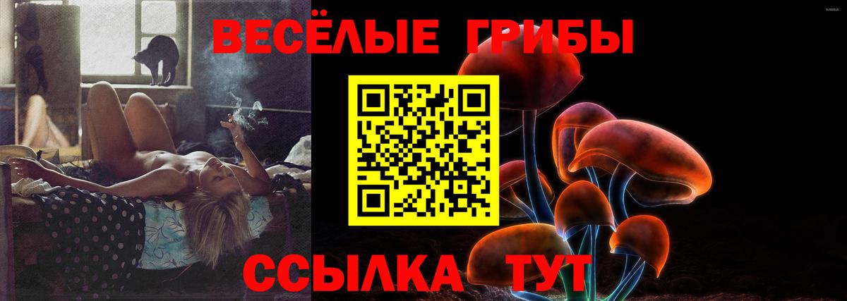 Можга  Псилоцибиновые грибы GOLDEN TEACHER  Вход с VPN 